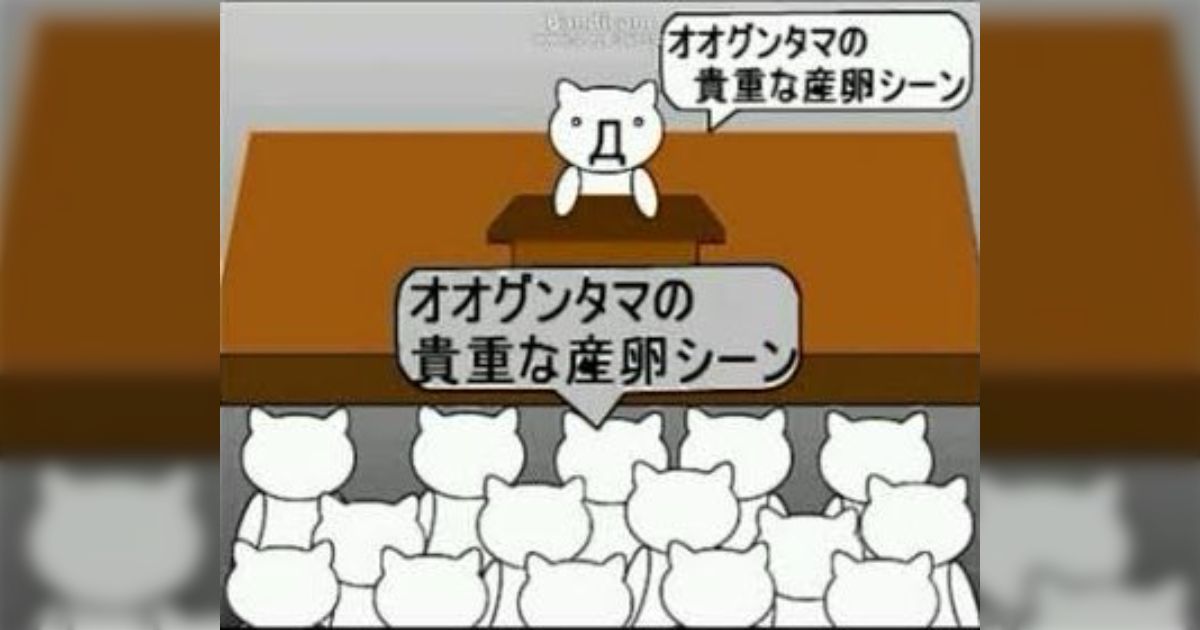 すいとち tweet media