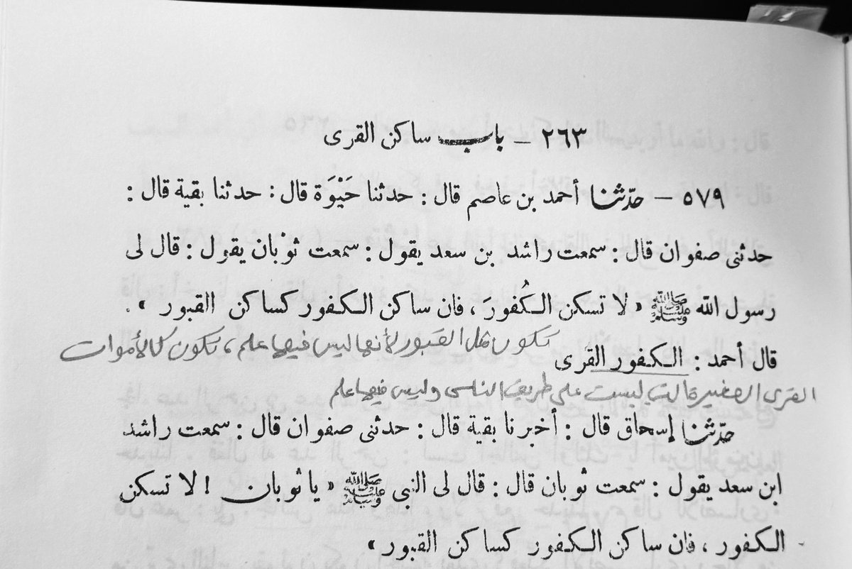 إبان tweet media