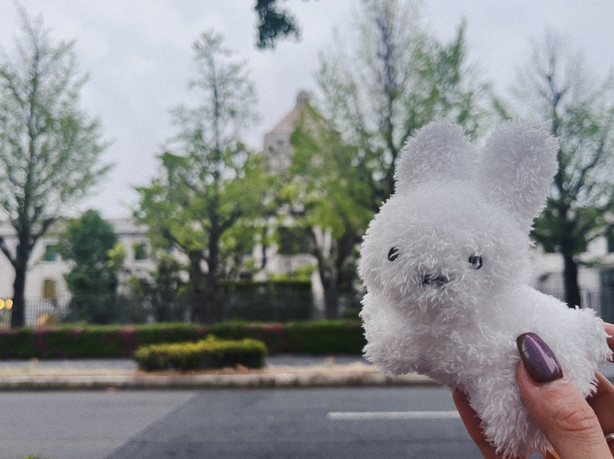 いったよ　電車代寄越せ税金泥棒
#0422議員会館前行動