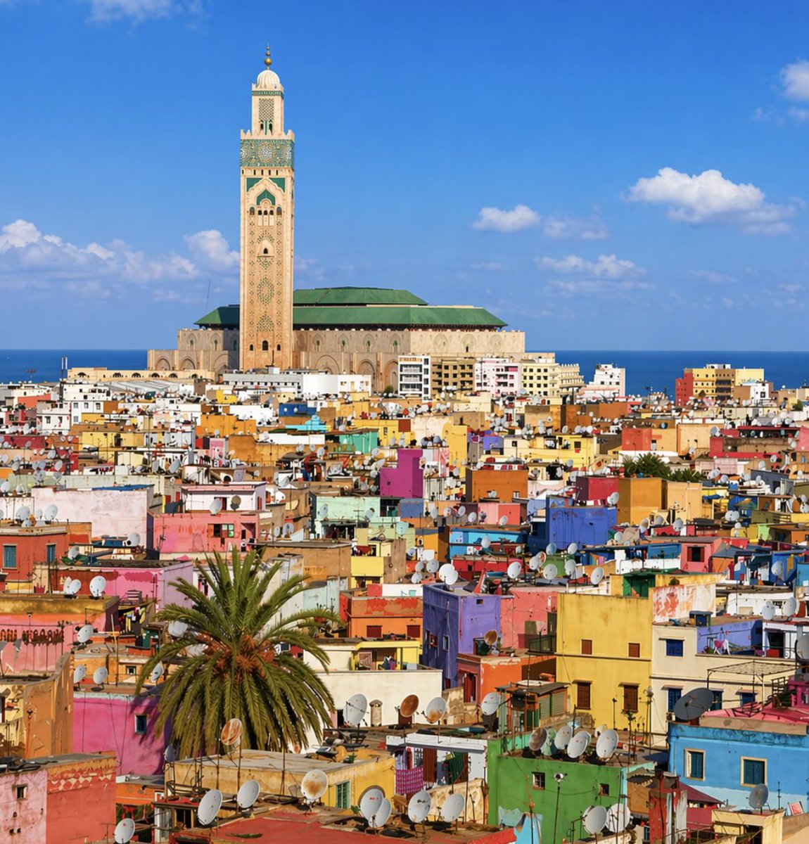 يوسف tweet media