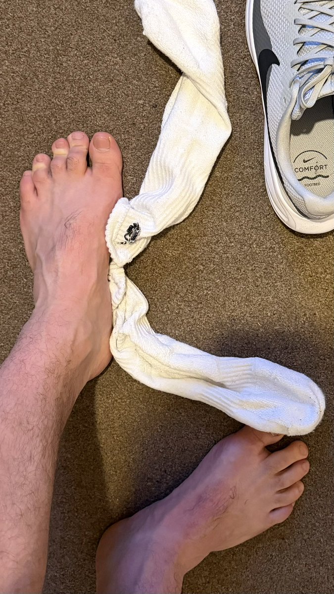 Alpha Grey Gus$s tweet media