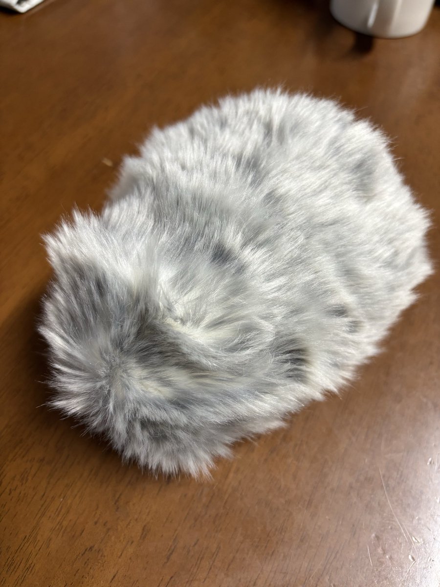 我が家にモフモフの子がやってきた♪