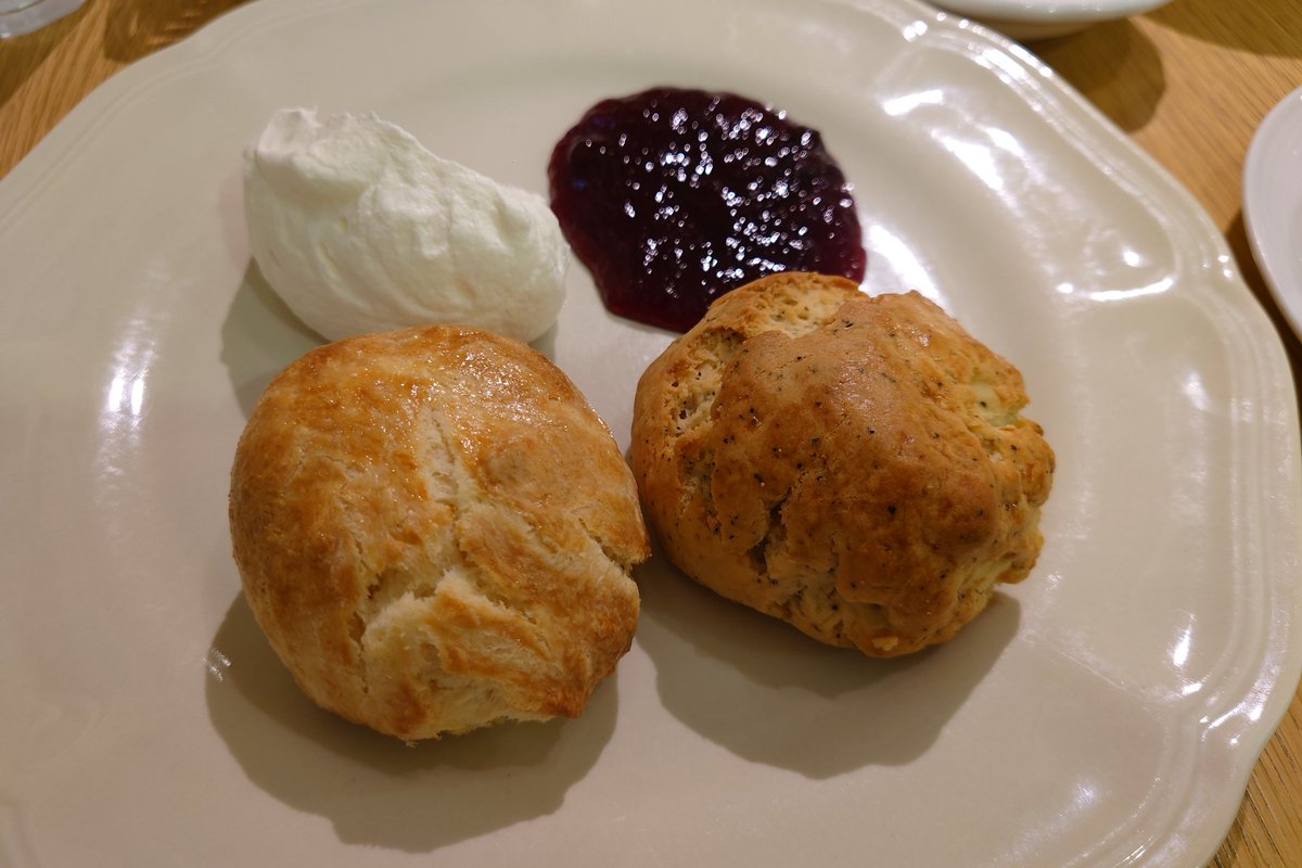 デラウエア🍇 tweet media