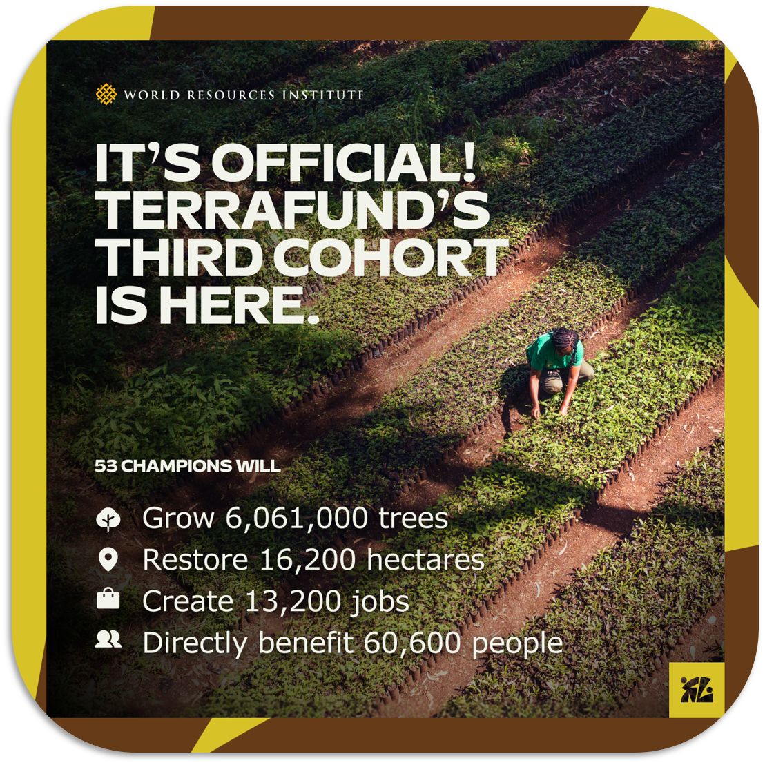 RDISforRwanda's tweet photo. We are excited to announce that our organization #RDIS has been selected as one of the 53 restoration champions in #TerraFund’s third cohort! In support of the #RestoreLocal initiative, we will work alongside local communities to grow #300000trees, restore #605hactares https://t.co/4H1XVEW988