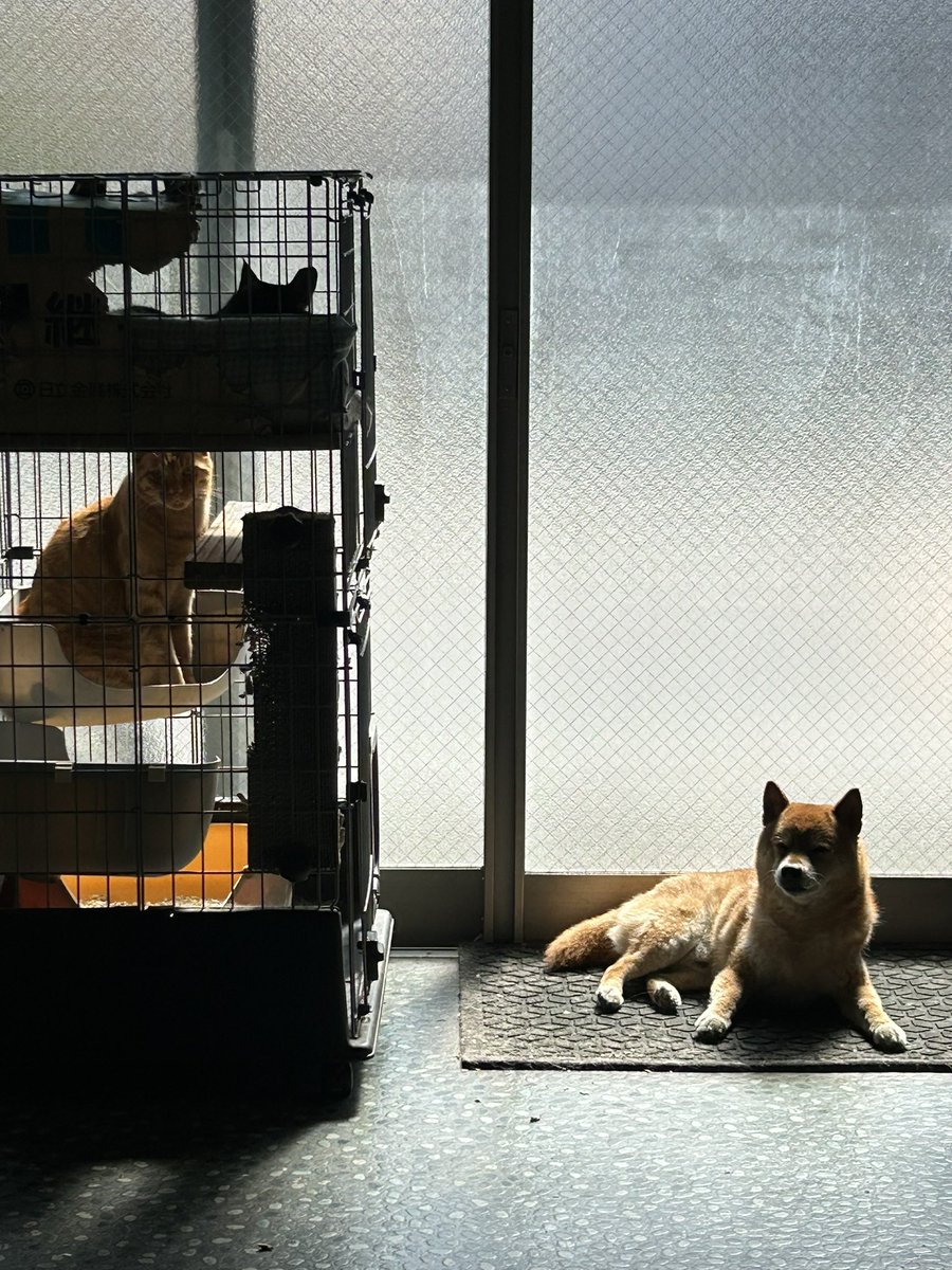 H I R O M I tweet media