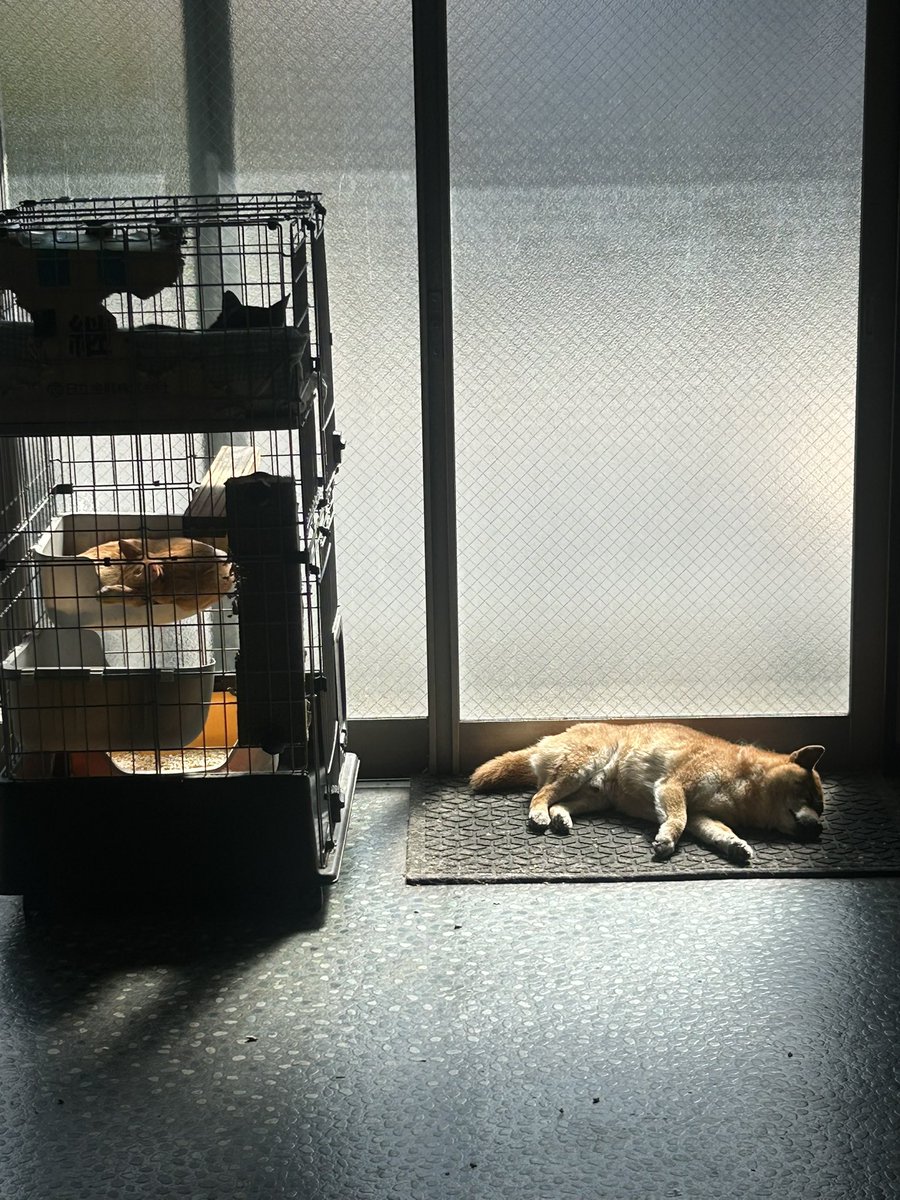 H I R O M I tweet media