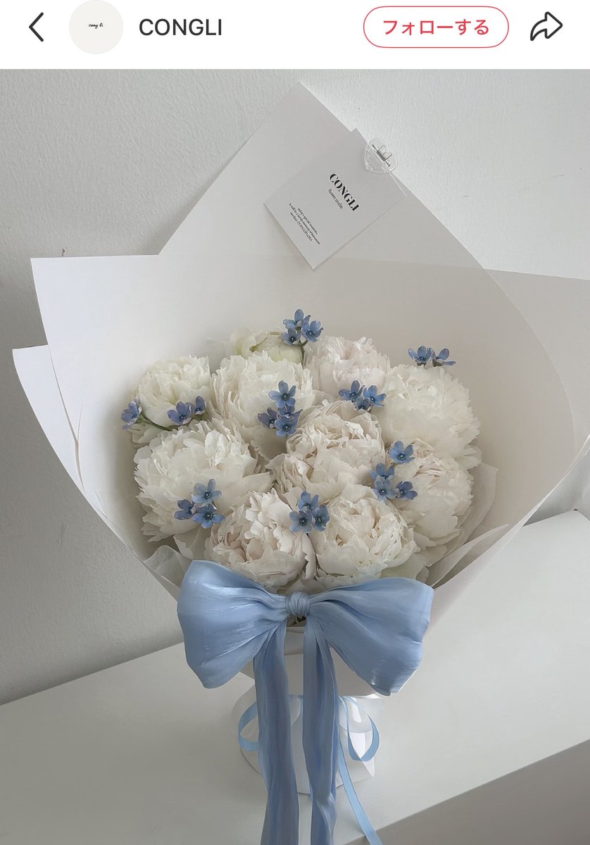 𝙽𝚘𝚊. tweet media