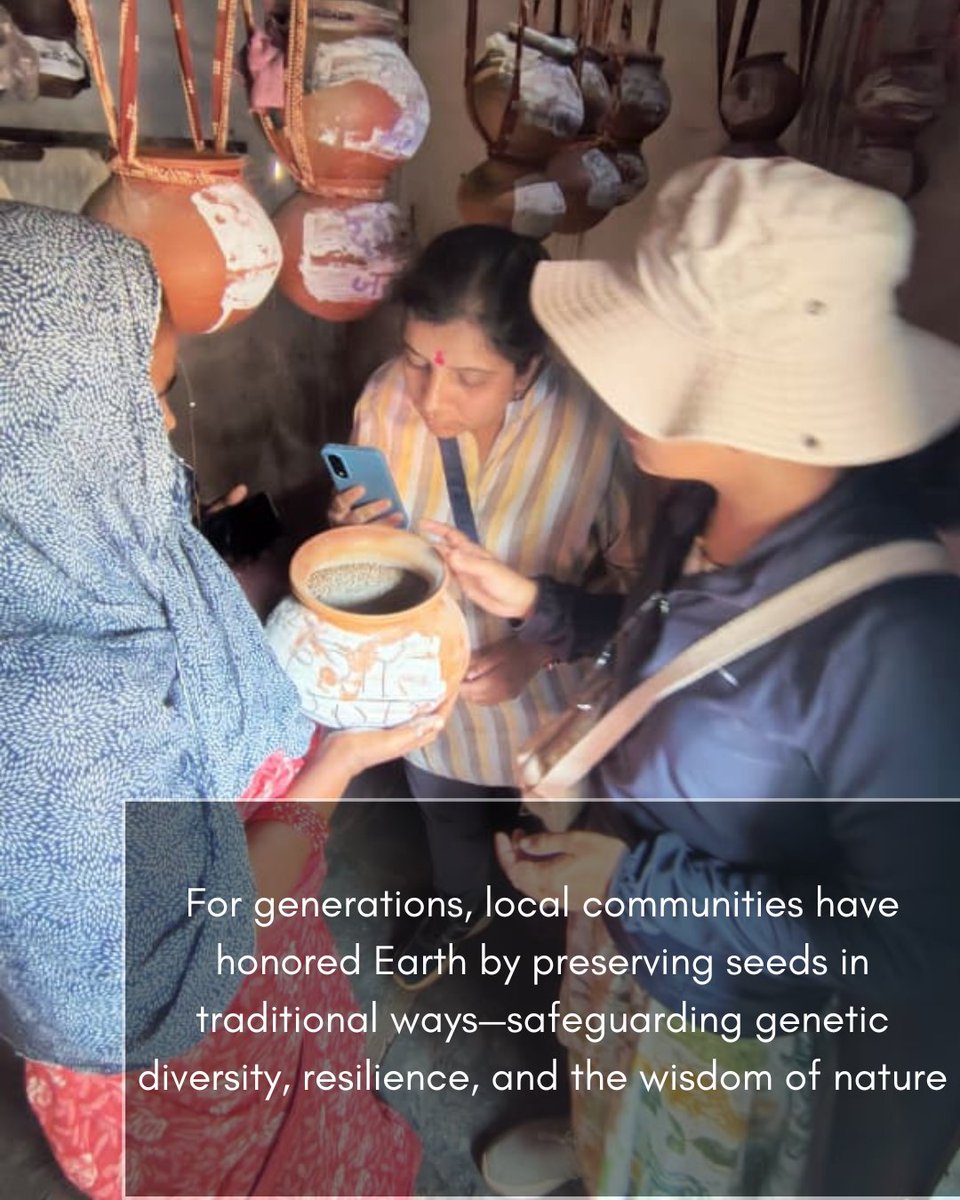 ecovrat's tweet photo. A single seed carries the quiet power to nourish life, weaving an unbroken thread between people and planet. On this Earth Day, let us appreciate that in every seed lies a silent promise—a direct thread connecting our survival to the Earth’s sustenance.
#earthday #seedbanks https://t.co/TaGrL2kEc8