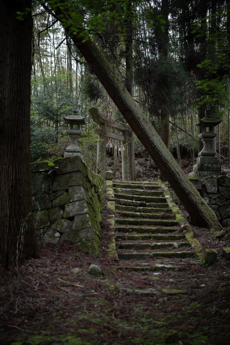 瓜生⛩️ tweet media