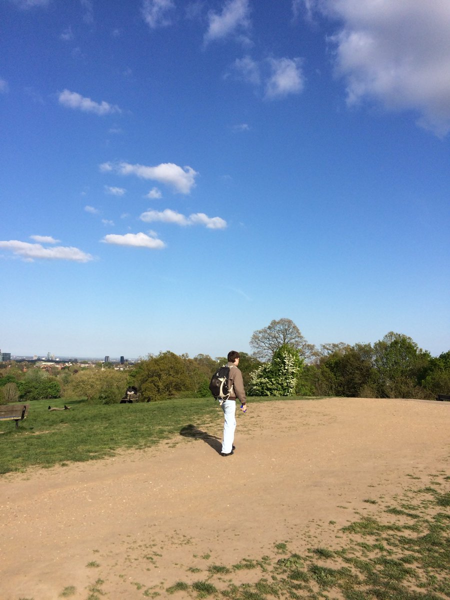 ⋆˚࿔ tweet media