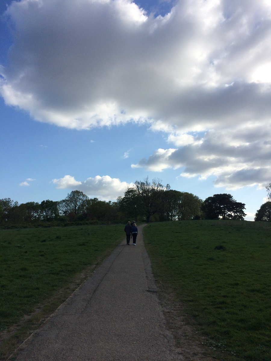 ⋆˚࿔ tweet media