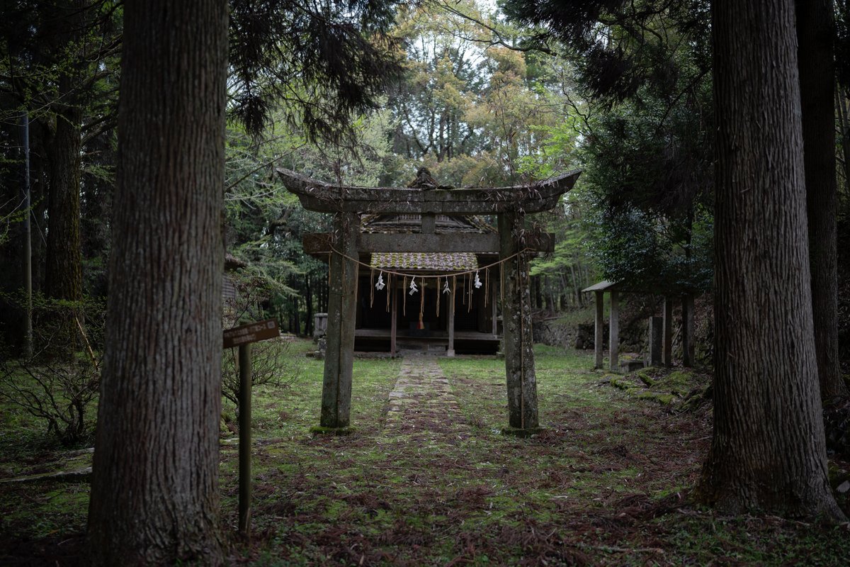 瓜生⛩️ tweet media