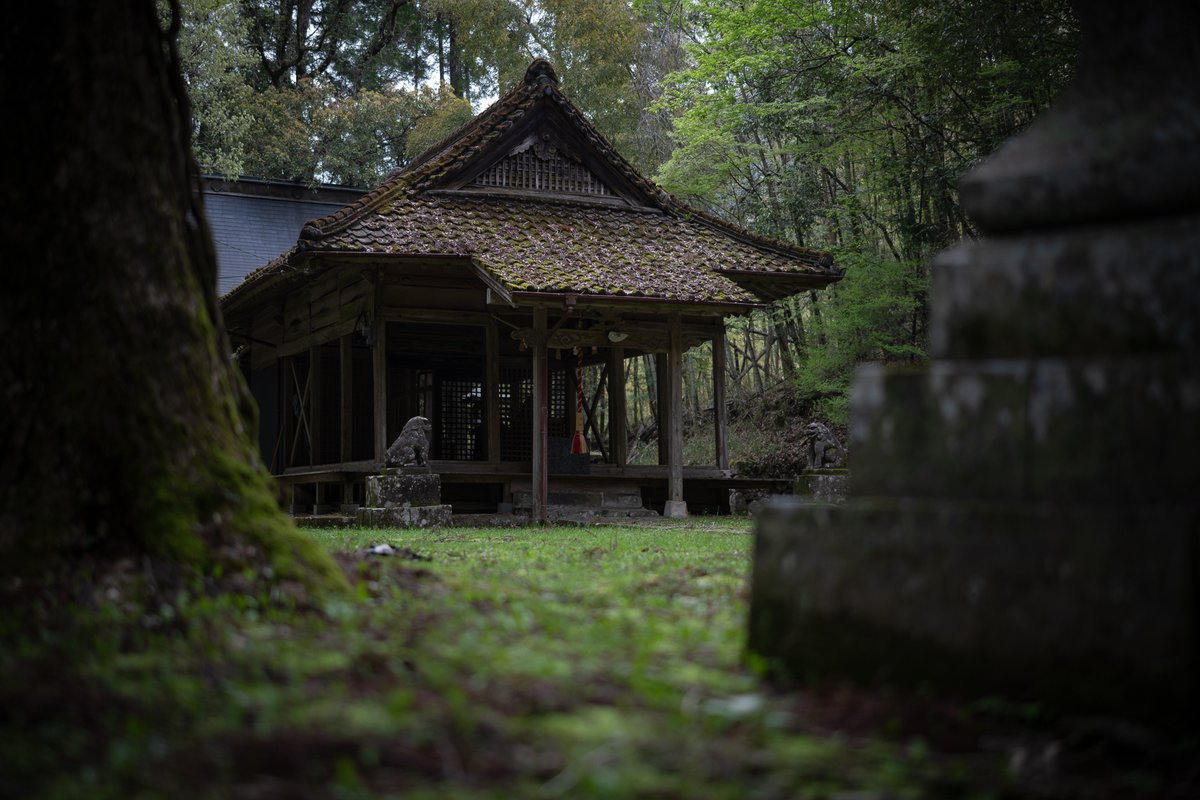 瓜生⛩️ tweet media