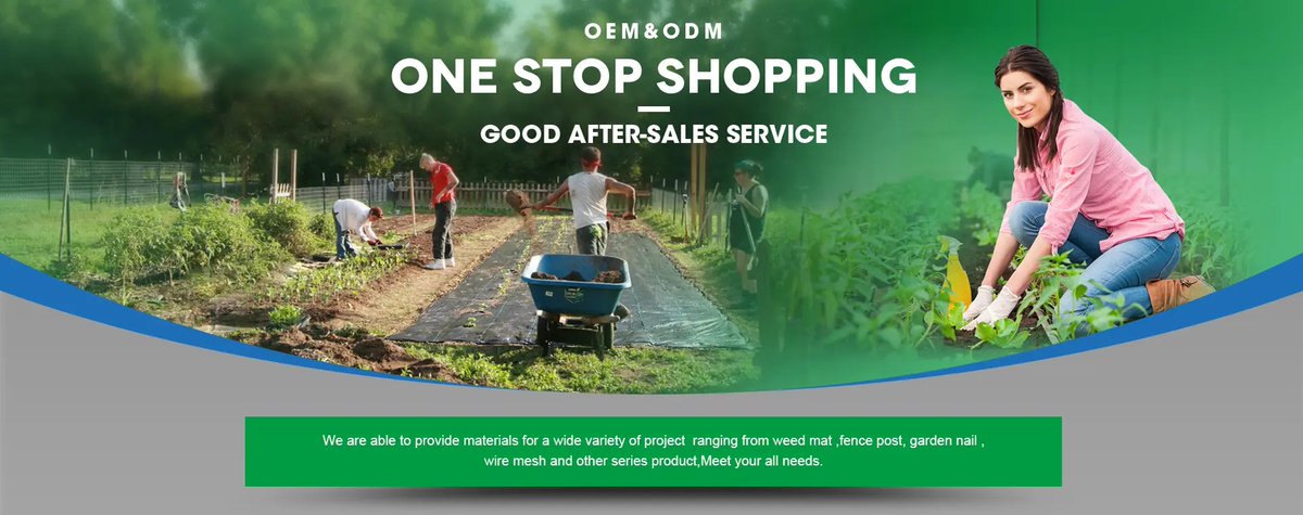 tjbluekin's tweet image. Stable supply, clear communication &amp;amp; real after-sales support—what B2B buyers need in wire mesh &amp;amp; hardware.
📩 bluekinwire@gmail.com | bluekin.com

#bluekinindustries #wiremesh #fencing #fasteners #construction #b2b #hardware #supplychain