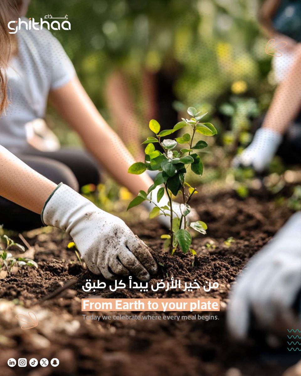 Ghithaa_sa tweet media