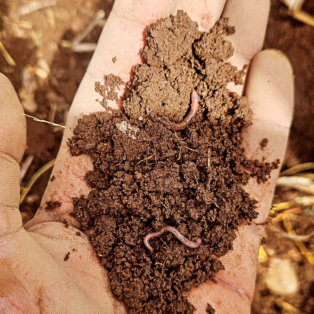 Elerai Lolkera Village 🇰🇪 🇿🇦 tweet media