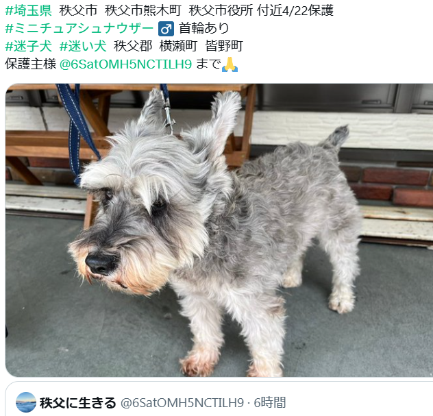 くるみmama tweet media