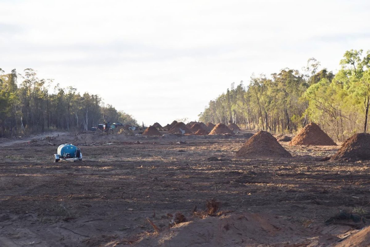 Tyler Green tweet media