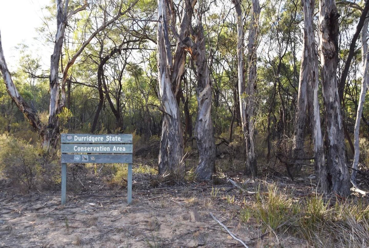 Tyler Green tweet media