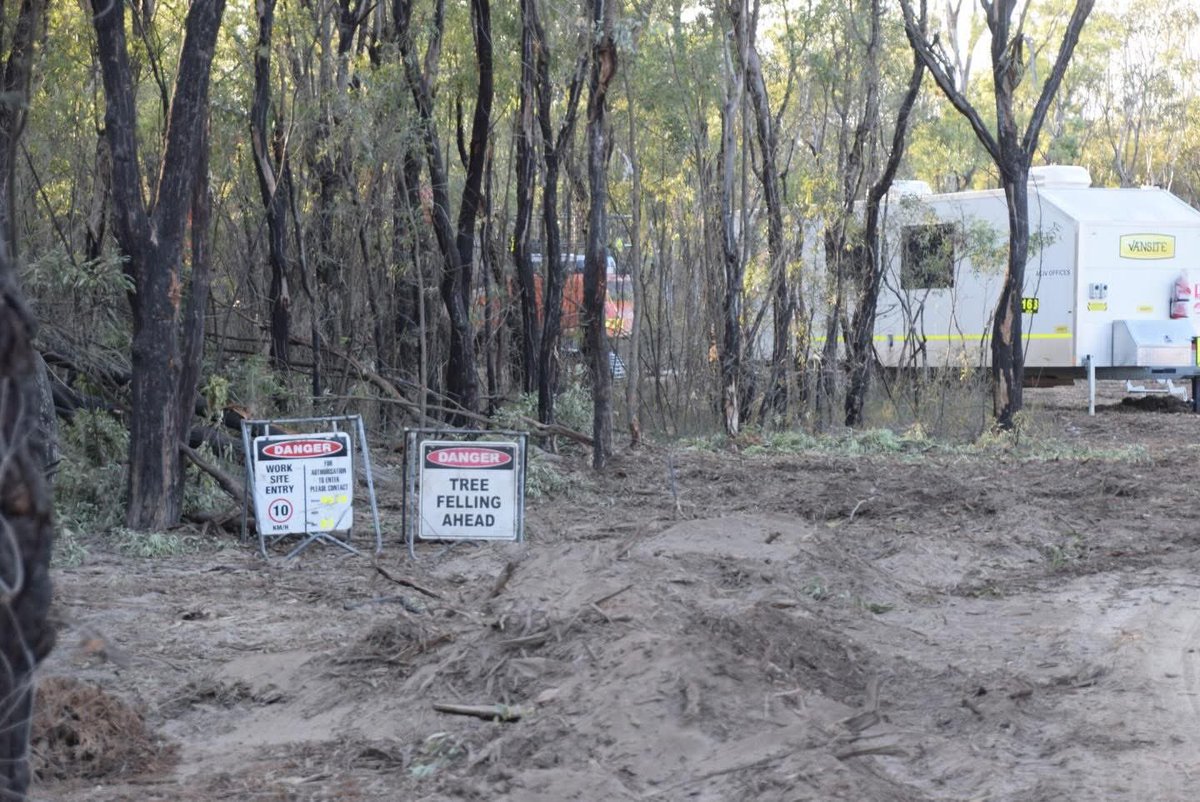 Tyler Green tweet media