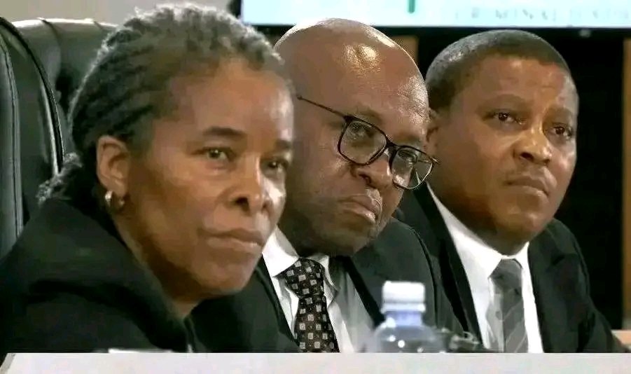 MDN NEWS tweet media