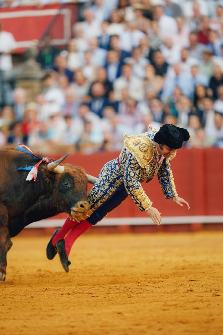 Gonzalo Guillén tweet media