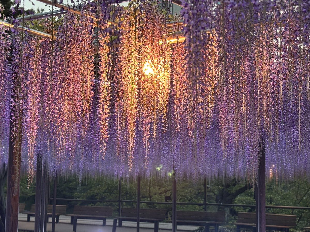 岡崎おでかけナビ tweet media