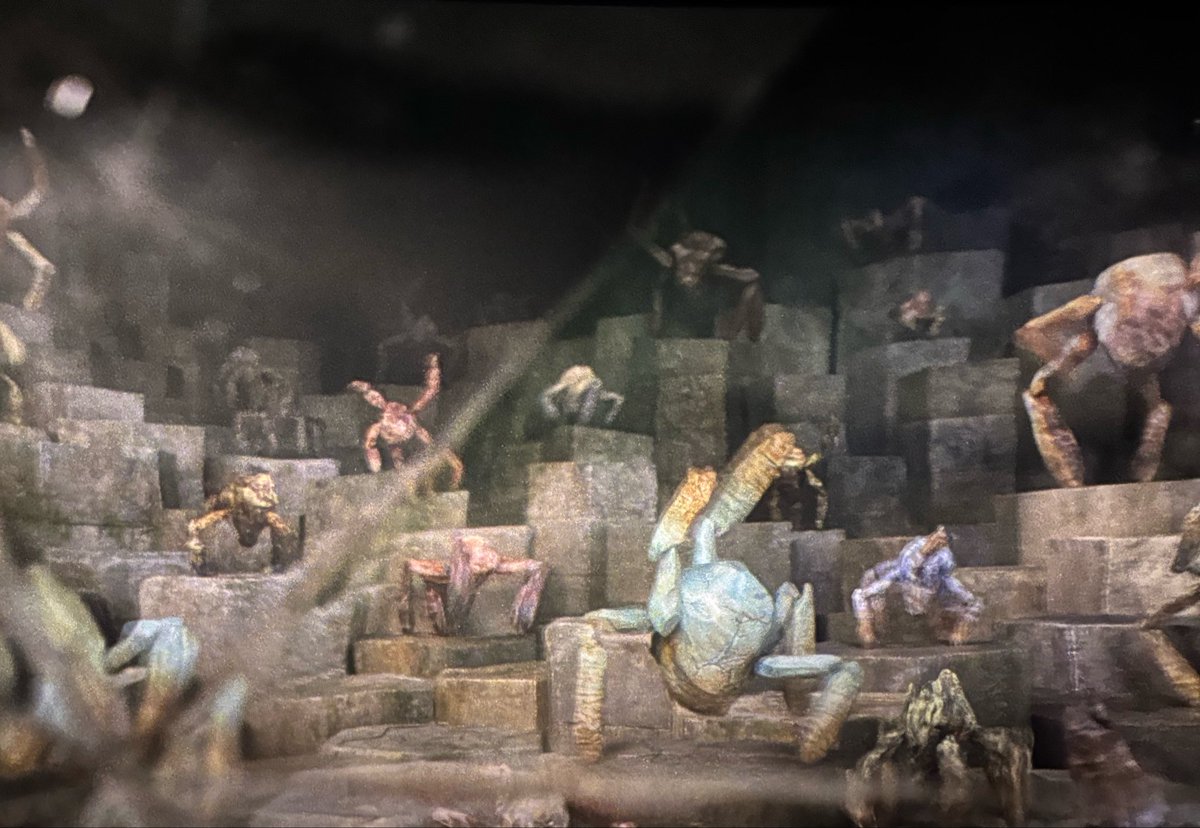 𑣲Romée || PHM era🪐 tweet media