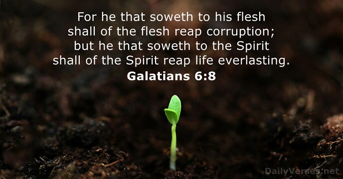 Cairnlodge1's tweet image. A wee #VerseOfTheDay
For, Wednesday, 22nd April, 2026

#Galatians 6:8
For he that soweth to his flesh shall of the flesh reap corruption; but he that soweth to the Spirit shall of the Spirit reap life everlasting. 👑

#KingJamesVersion #KJV #AuthorisedVersion #AV