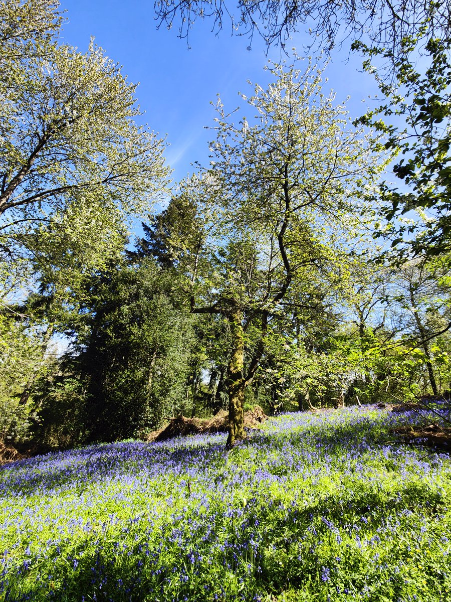 Matt Edwards tweet media