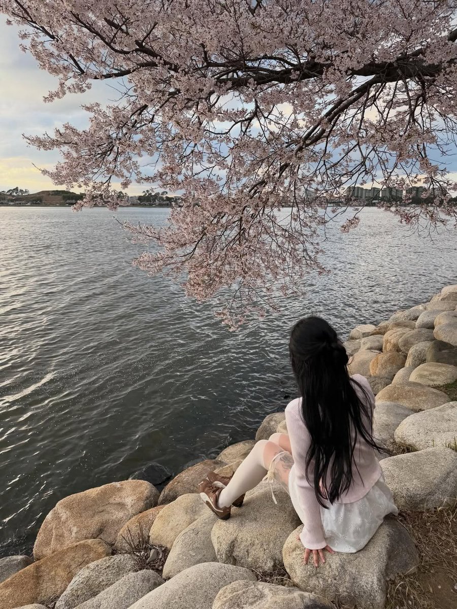 🇰🇷 Bighip베이글 tweet media