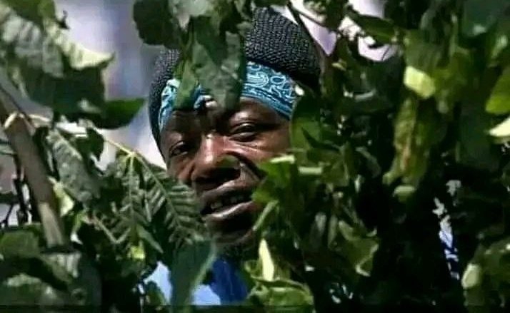 *☆A࣭࣪ꭑִׂ͓ׅ࣪ᦒ᩠ִׂ໋ׅ࣪꯱ָׂ Dυᥣᧉ᩠֗x Ⓧ🕷️ tweet media