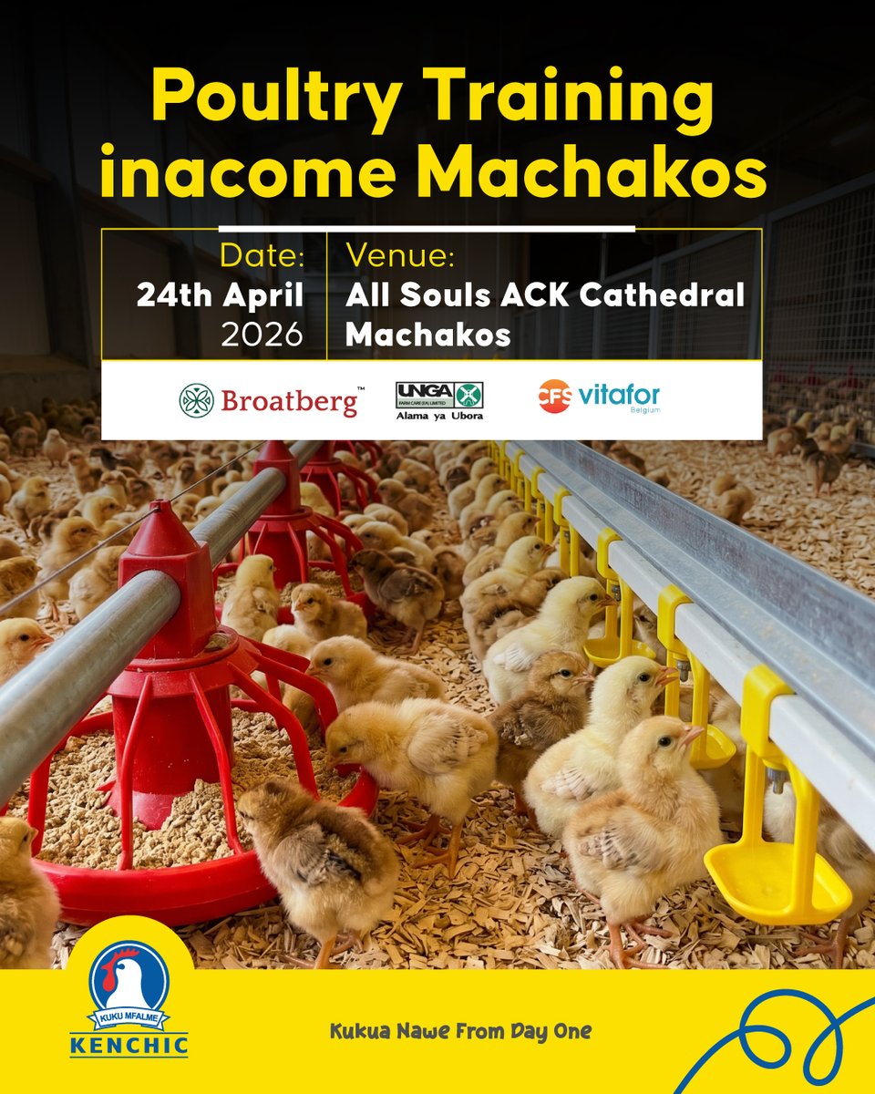 Kenchic Day-Old Chicks tweet media