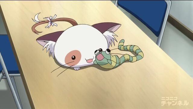 なのちゃ。 tweet media