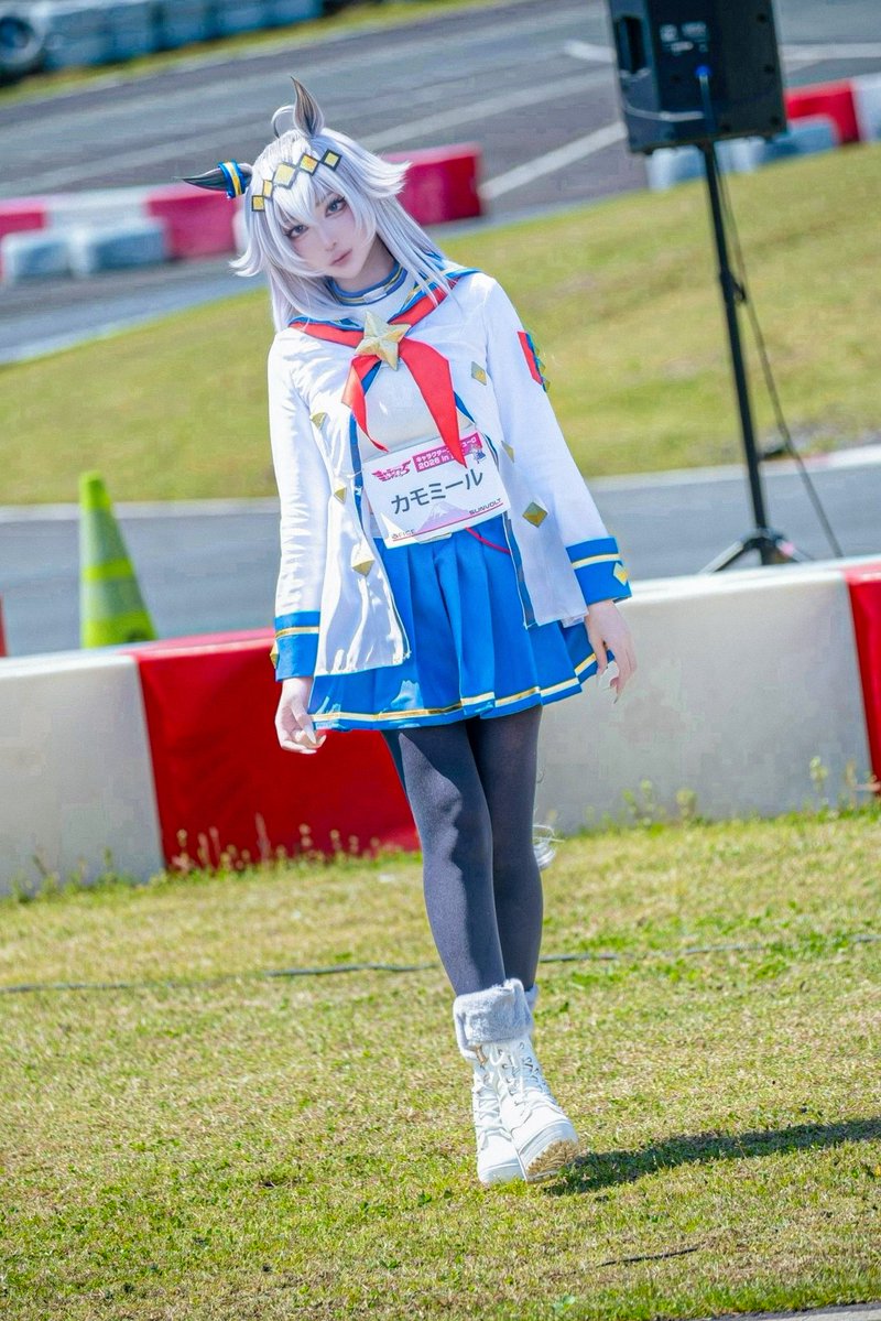 カモミール 🌼 Chamomile tweet media