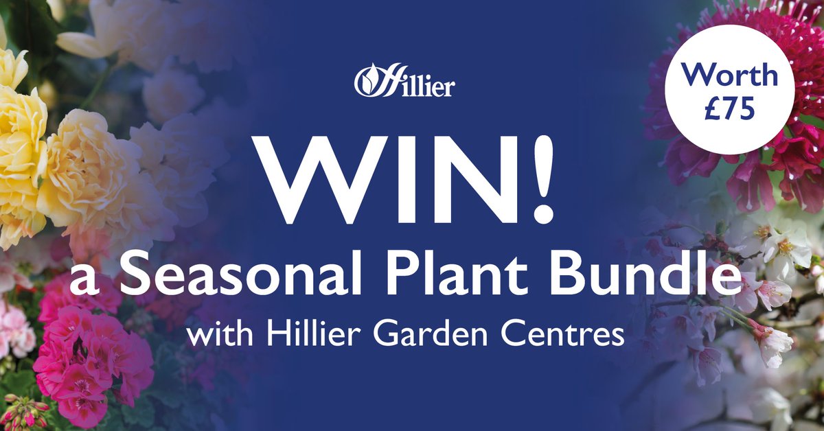 allotmentonline's tweet image. Enter for the chance to WIN a Seasonal Plant Bundle worth £75 from @Hilliergarden in our Spring Giveaway!

Please follow, RT, tag/share and enter on the link: allotmentonline.co.uk/win-a-pound75-…

#win #giveaway #competition