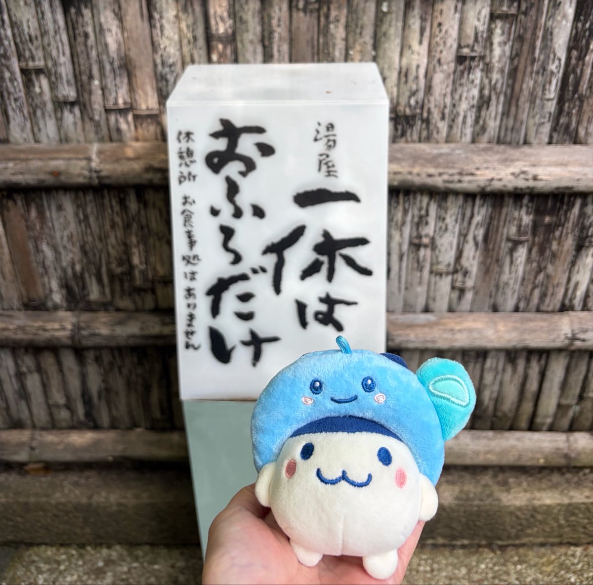 ろしぃ🥚 tweet media