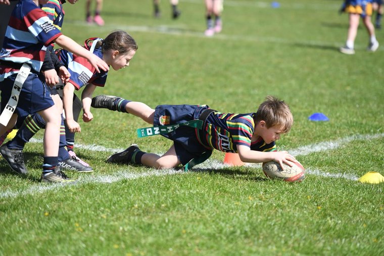Northampton Old Scouts RFC tweet media