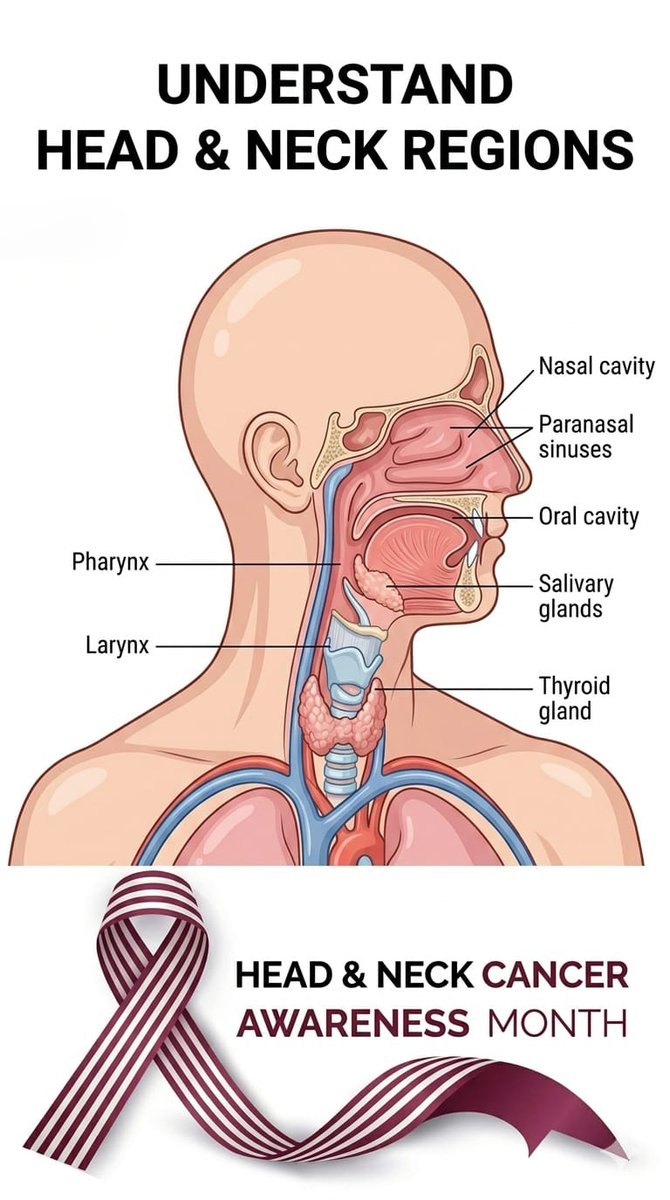 National Cancer Control Program Kenya tweet media