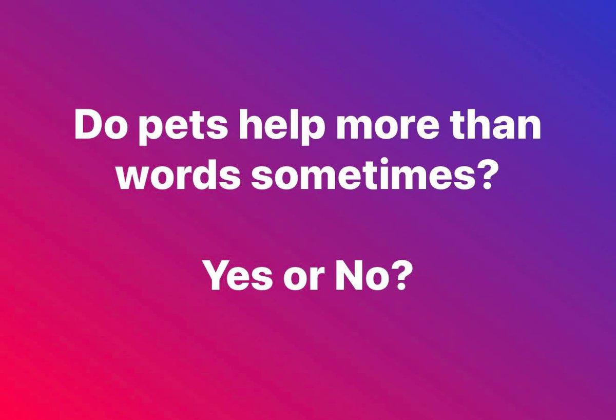 Jessica ❤️ tweet media