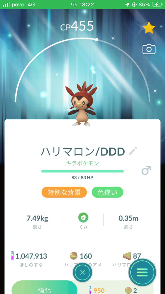 とろさん⭐︎@ポケモンGO tweet media