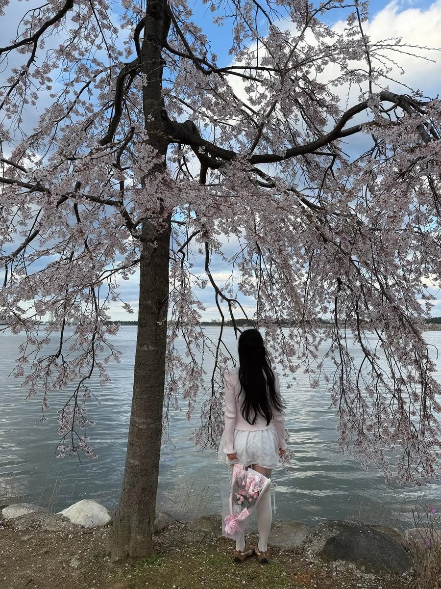 🇰🇷 Bighip베이글 tweet media