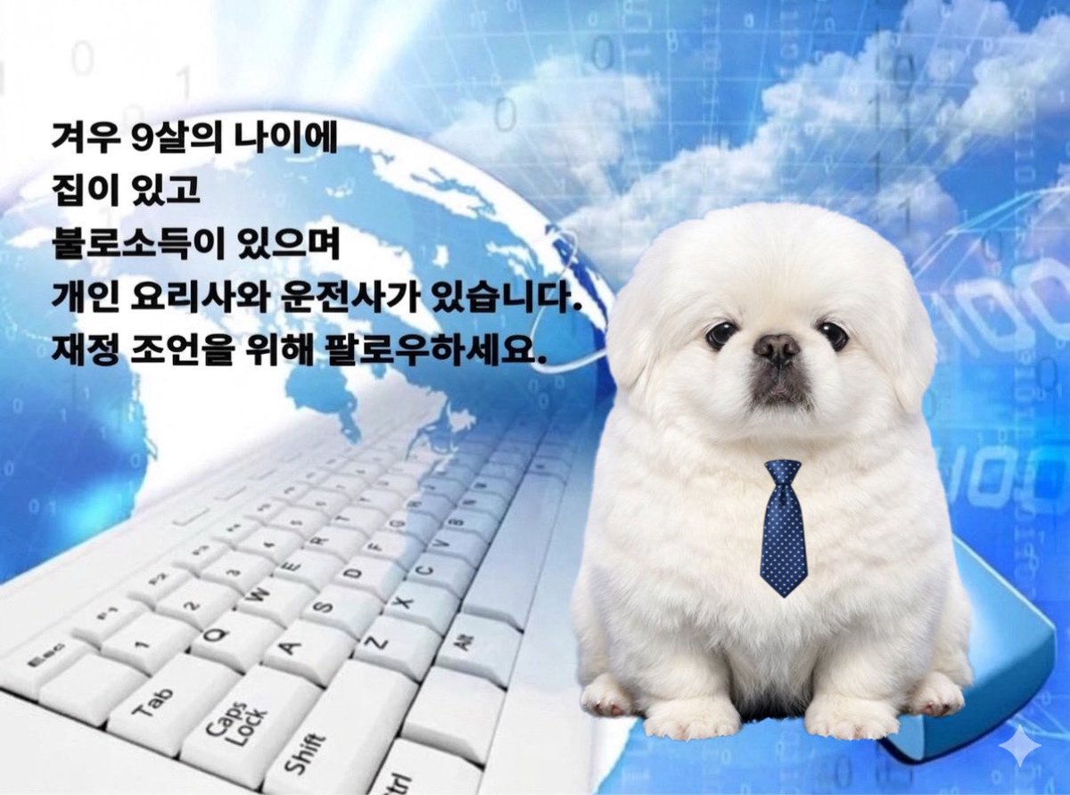 임쪼깐 tweet media