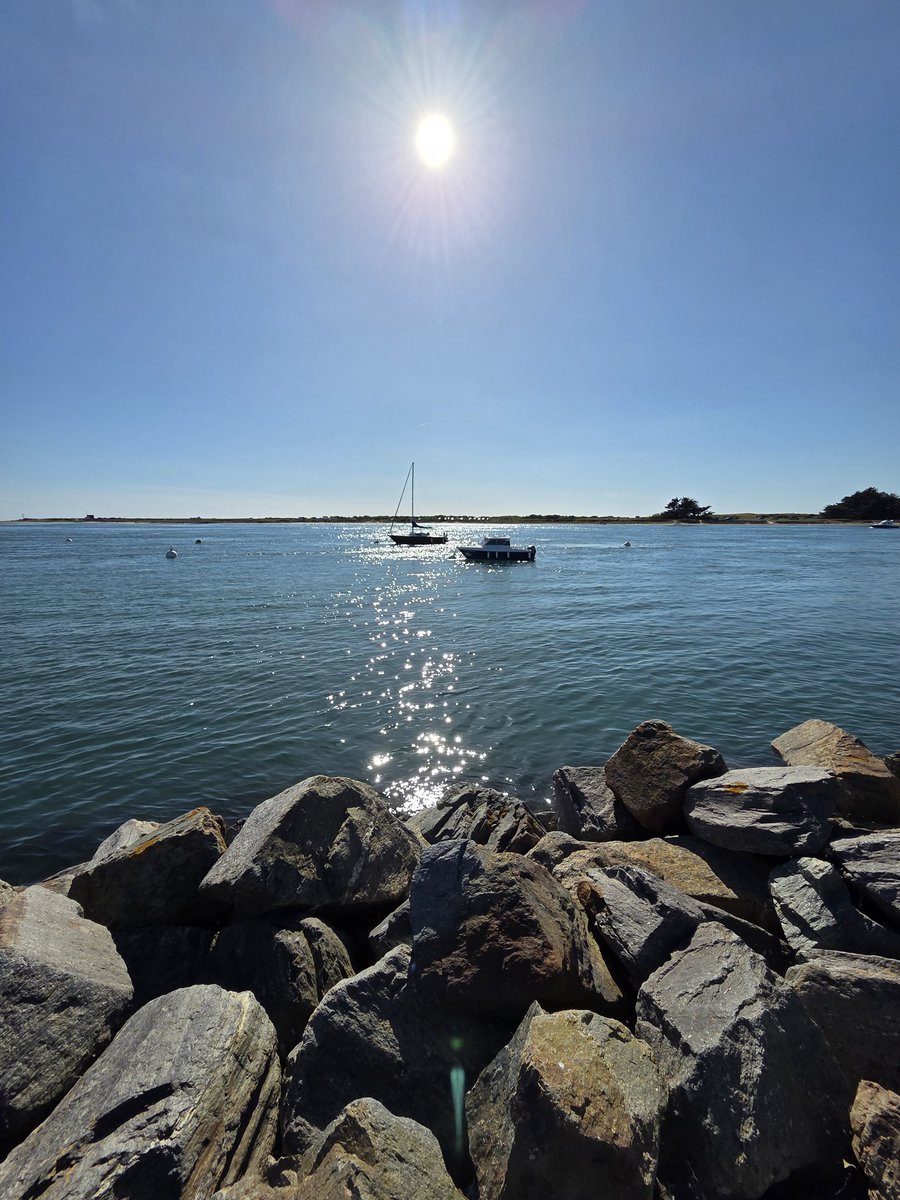 GAETANLD56's tweet image. Prendre le large, même en restant sur la rive ⛵️✨

#SeaSide #GoldenHour #LandscapePhotography #Bretagne #Etel #Morbihan