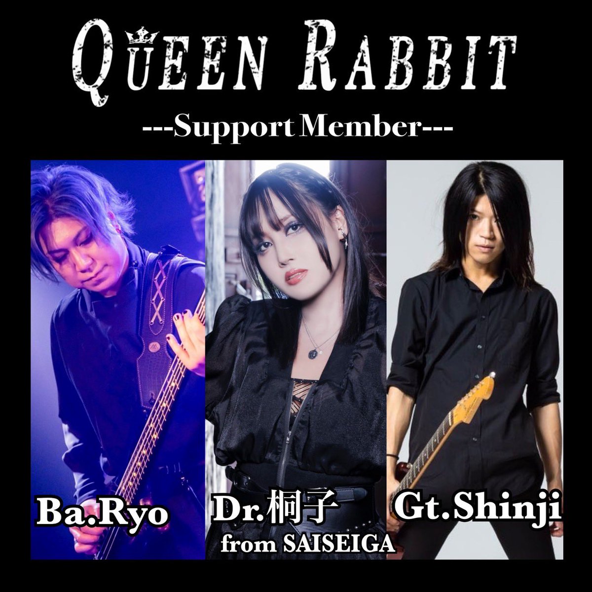 QUEEN RABBIT tweet media