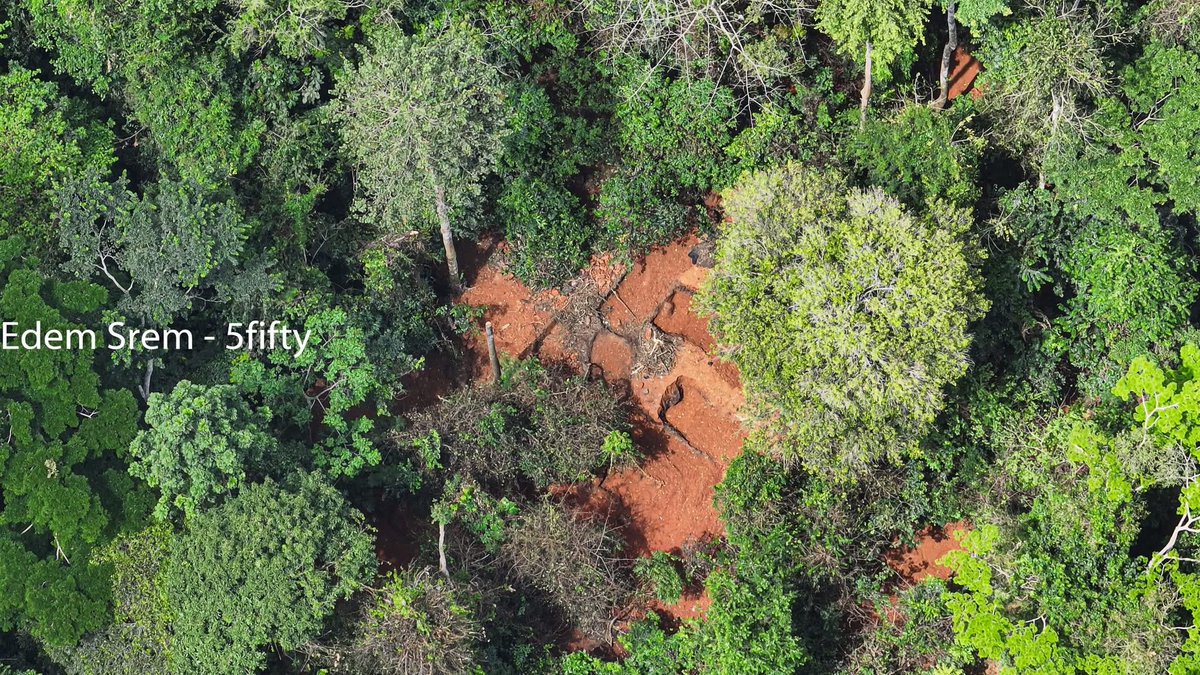 Edem Srem tweet media