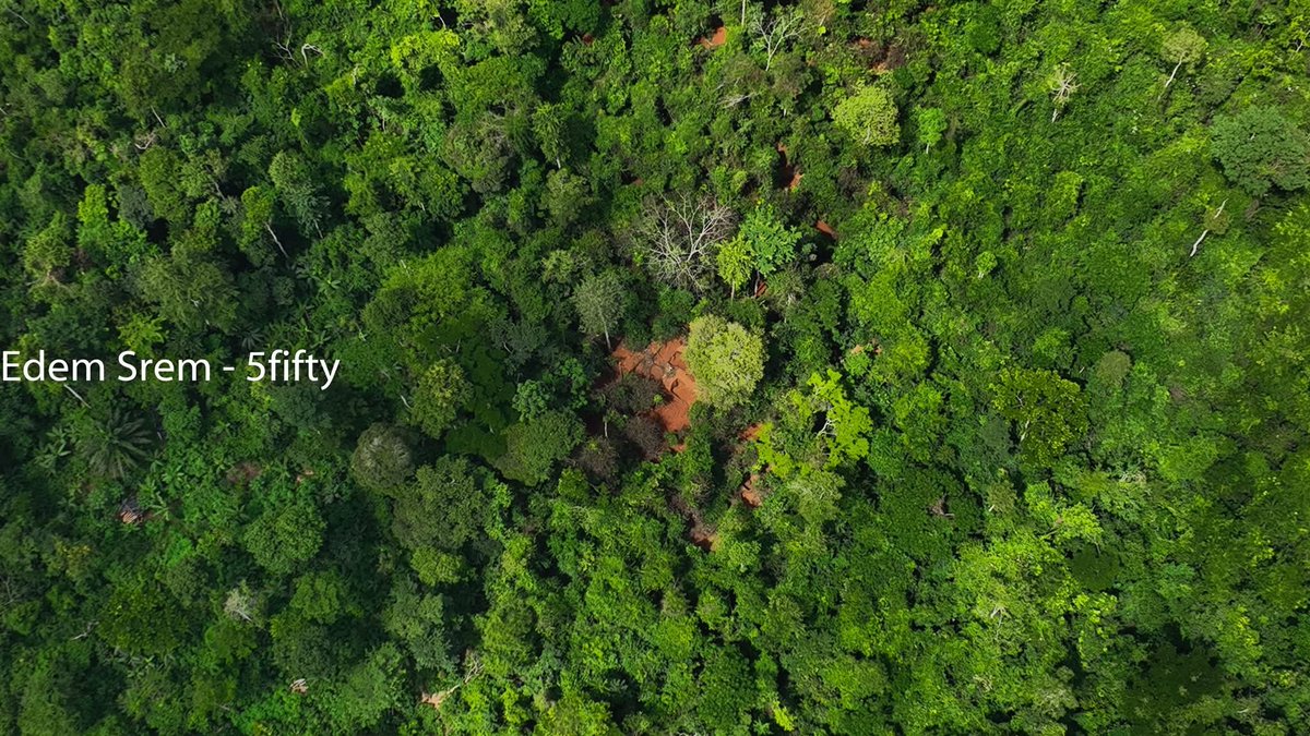 Edem Srem tweet media