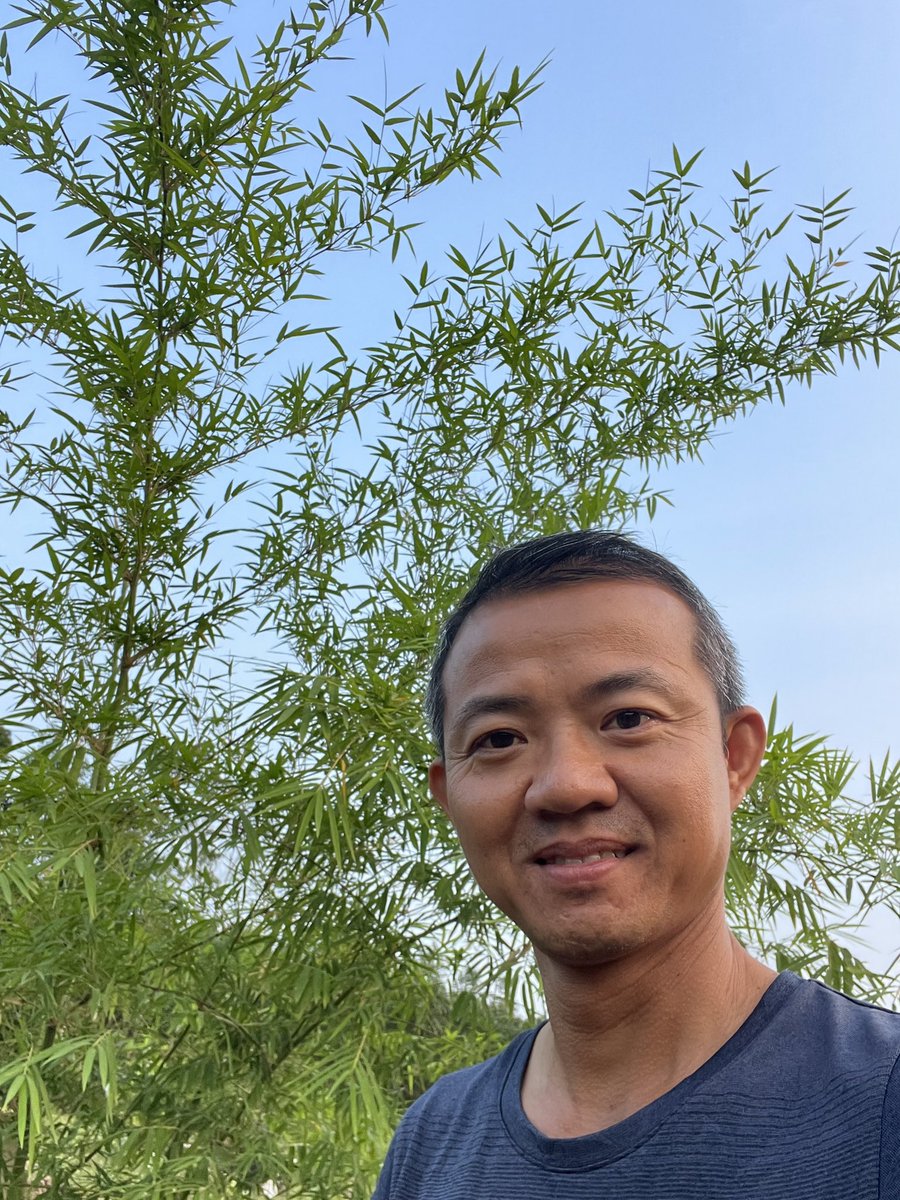 Hà Huy Hậu | Hado tweet media