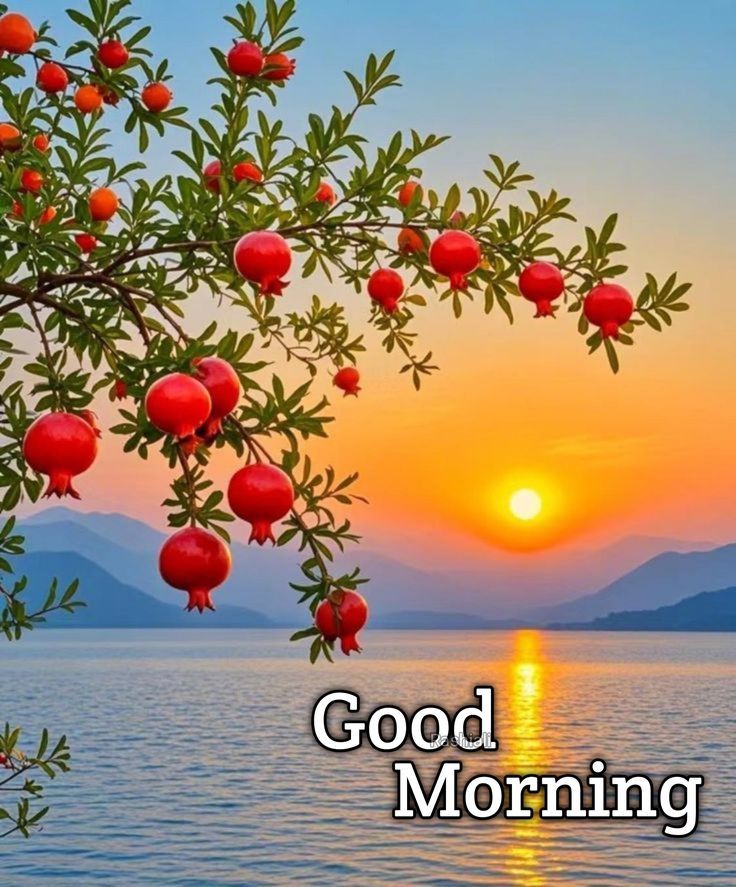 Mir Jan Bugti tweet media