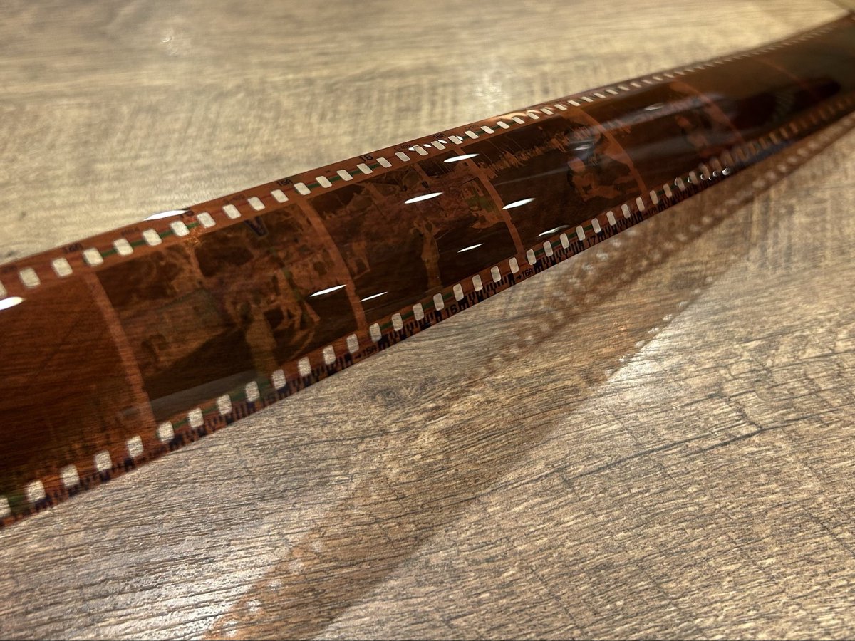 FUJICAのカメラ📷を久しぶりに使って撮影してきました👏
最近は二眼レフカメラでの撮影が多かったので、35mmのフィルム🎞️は撮り終わるのに時間がかかってしまいました🤭
次はどのカメラで何を取りに行こうか模索中です🤔

当店では35mmフィルムもブローニーフィルムも現像出来ますよ〜😁🙌ｽｽﾞｷ